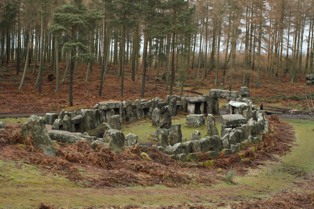 Druid-Ruins